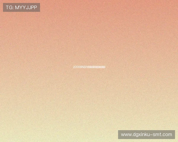 2006年NBA选秀的精彩回顾与重要球员 2006年NBA选秀的精彩回顾与重要球员