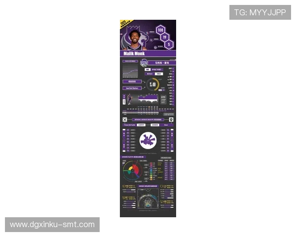 2024-2025法甲赛季中期分析及球队调整策略